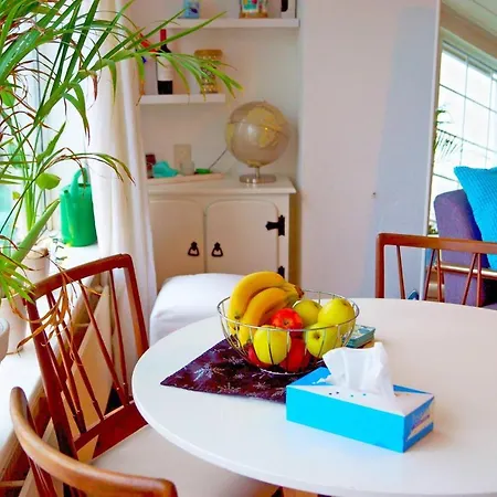 Takoda Gorilla Rotterdam Bed & Breakfast Hoogvliet