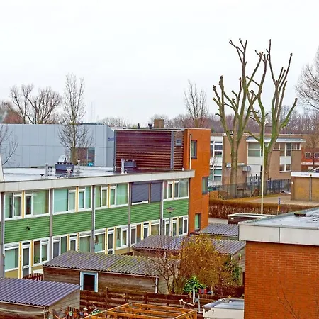 Takoda Gorilla Rotterdam Hoogvliet