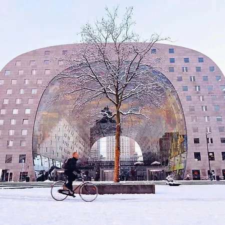 Takoda Gorilla Rotterdam * Hoogvliet