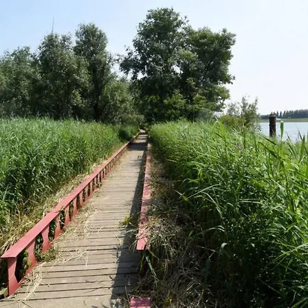 Takoda Gorilla Rotterdam Bed & Breakfast Hoogvliet