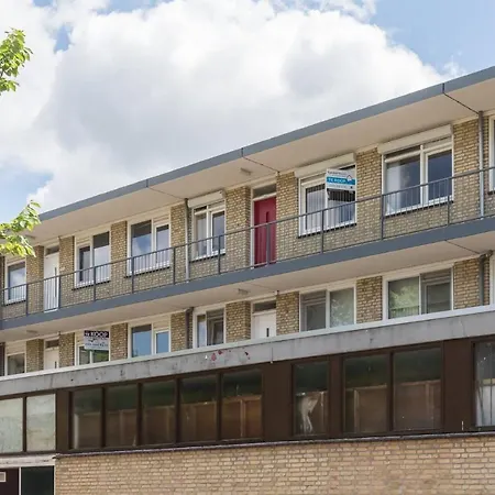 Bed & Breakfast Takoda Gorilla Rotterdam *