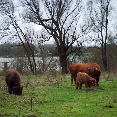 Takoda Gorilla Rotterdam Hoogvliet