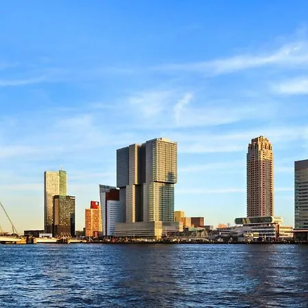 Bed & Breakfast Takoda Gorilla Rotterdam