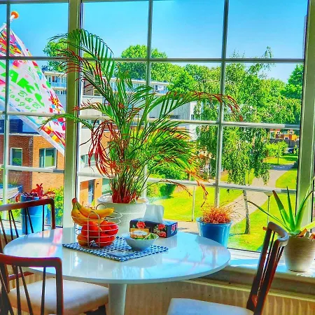Takoda Gorilla Rotterdam Bed & Breakfast *
