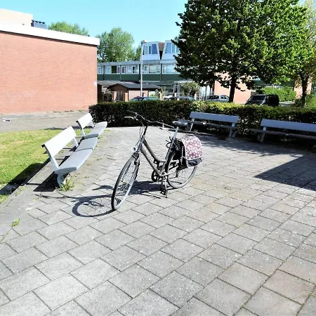 Takoda Gorilla Rotterdam Hoogvliet