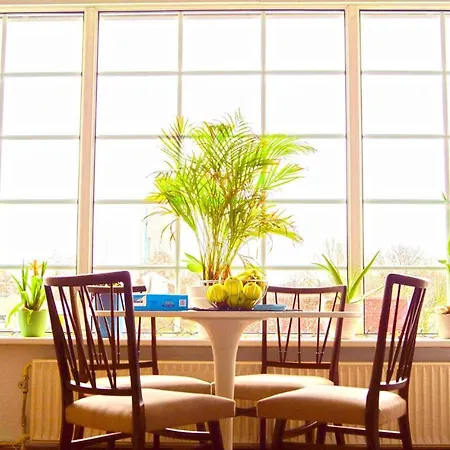 Takoda Gorilla Rotterdam Bed & Breakfast *