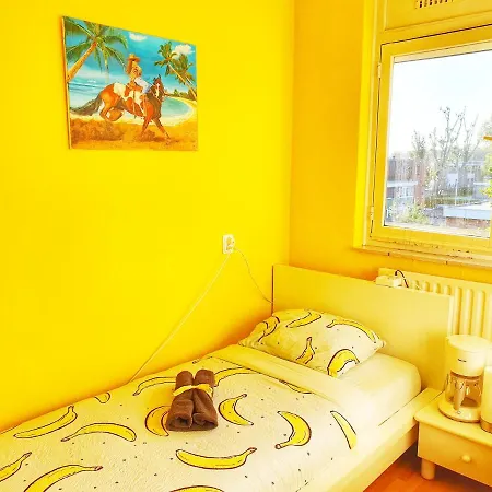 Takoda Gorilla Rotterdam *